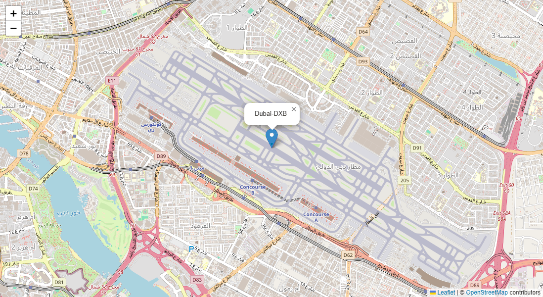 Airport Map Placeholder